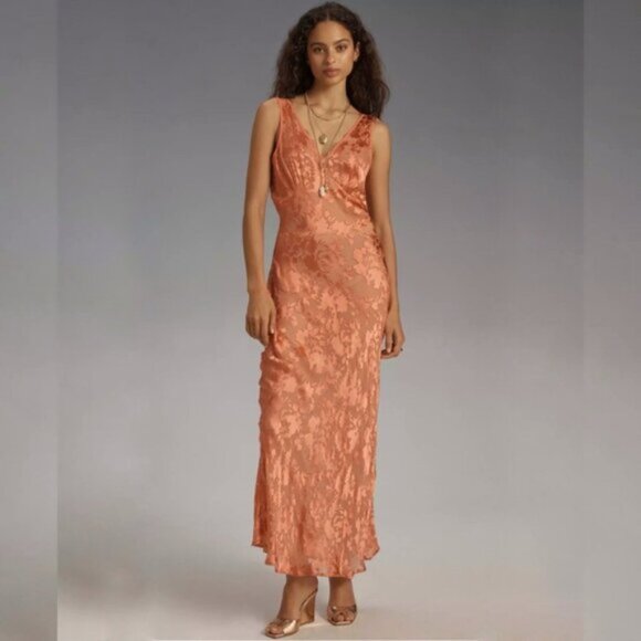 NWT Rollas Anthropologie Eliza Peach Sheer Midi/Maxi Dress - Picture 13 of 13